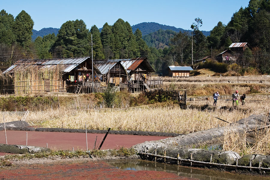  Fish farming near Ziro